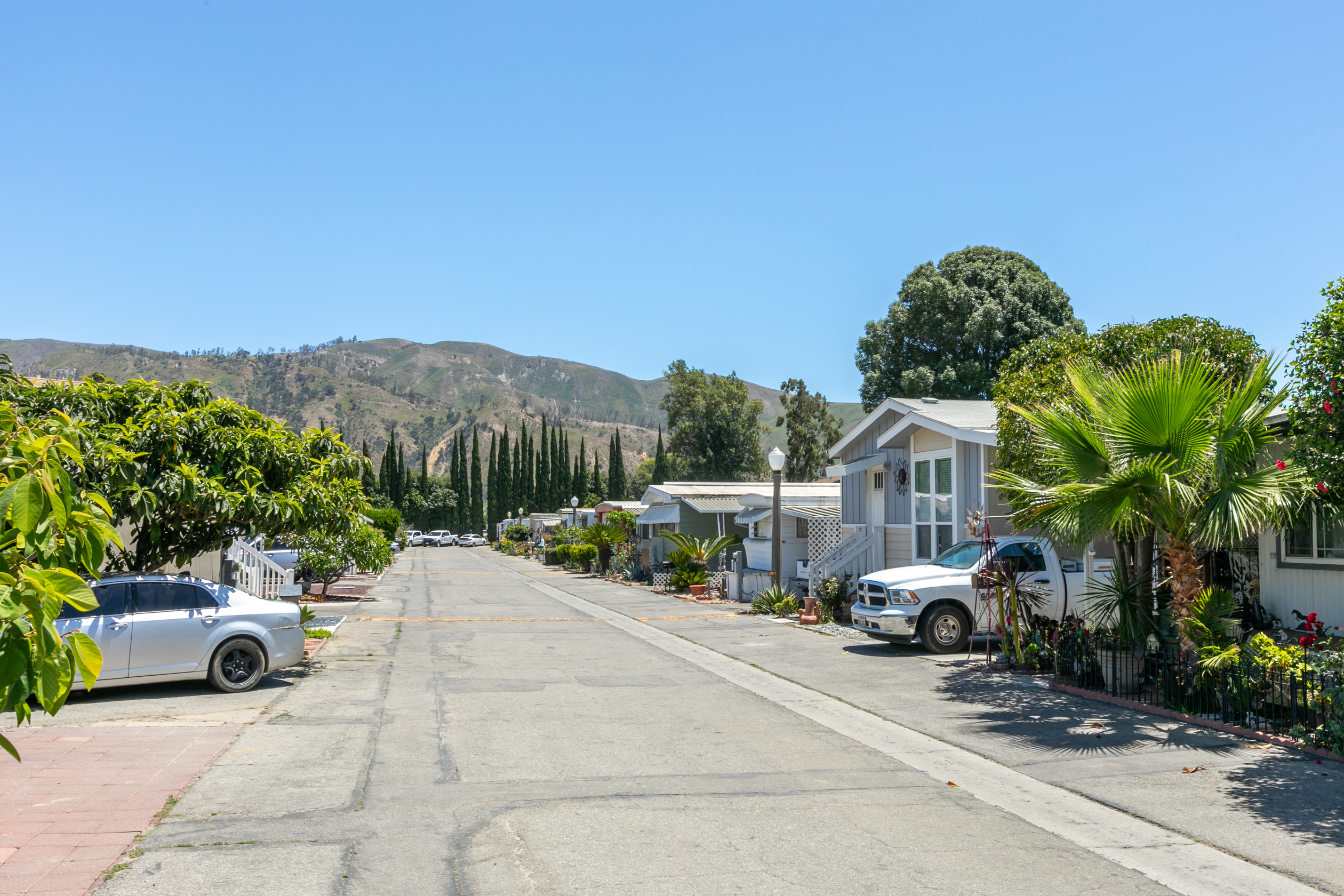 Tree-lined street at Mountain View Mobile Home Park with foothill views